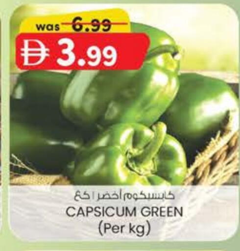 فلفل / فليفلة available at الصفا in الإمارات العربية المتحدة , الامارات - ٱلْعَيْن‎