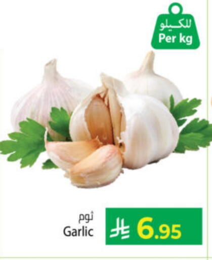 Garlic available at Kabayan Hypermarket in KSA, Saudi Arabia, Saudi - Yanbu