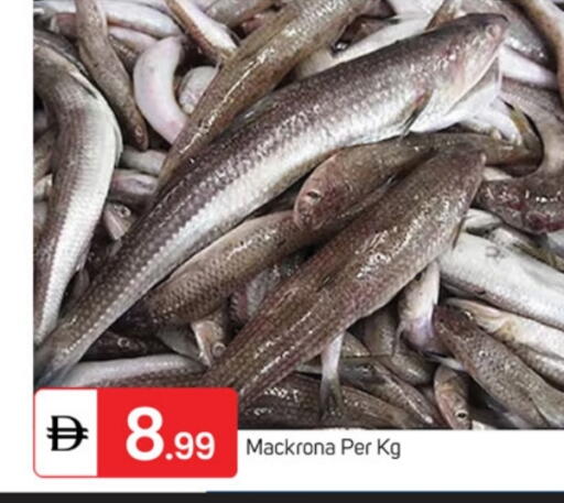 available at TALAL MARKET in UAE - Fujairah