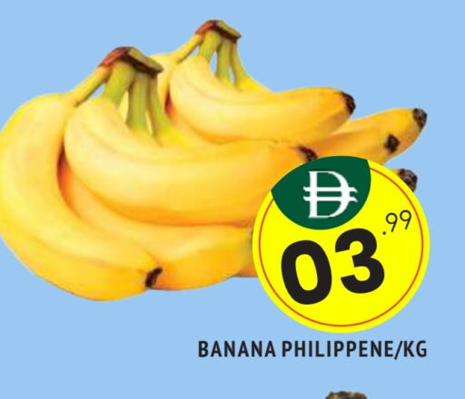 موز available at المدينة in الإمارات العربية المتحدة , الامارات - الشارقة / عجمان