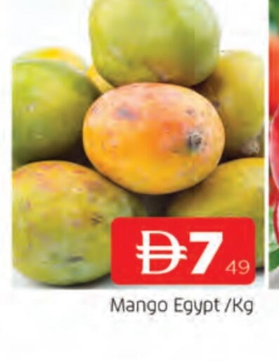 مانجو from Egypt available at المدينة in الإمارات العربية المتحدة , الامارات - الشارقة / عجمان