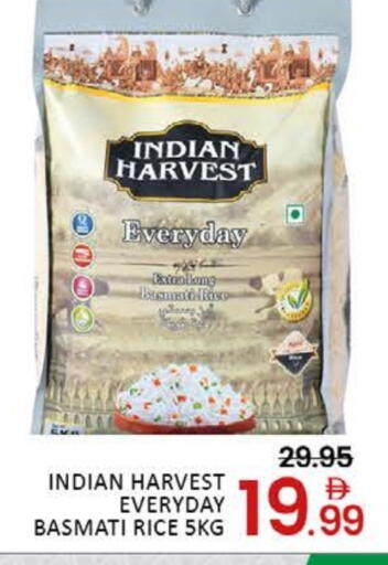 Mango available at مانجو هايبرماركت in الإمارات العربية المتحدة , الامارات - دبي