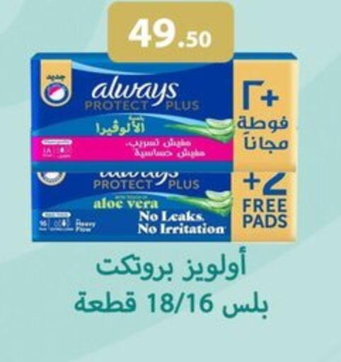 available at Hyper Samy Salama Sons in Egypt - Cairo
