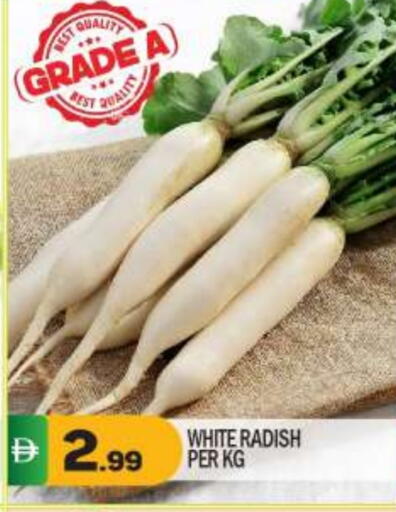 available at بيج مارت in الإمارات العربية المتحدة , الامارات - أبو ظبي