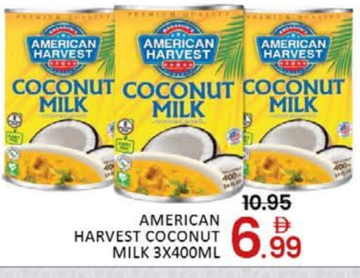 Mango available at مانجو هايبرماركت in الإمارات العربية المتحدة , الامارات - دبي