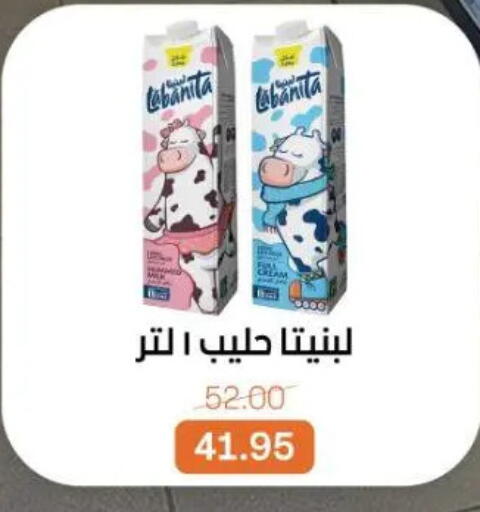 available at بيت الجملة in Egypt - القاهرة
