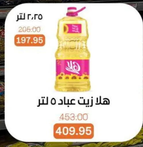 available at Beit El Gomla in Egypt - Cairo