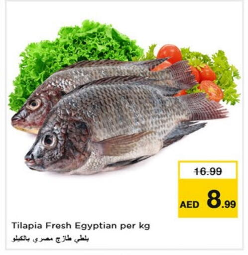 available at نستو هايبرماركت in الإمارات العربية المتحدة , الامارات - الشارقة / عجمان