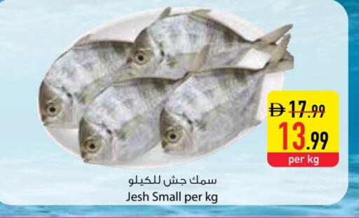 available at Safeer Market in UAE - Abu Dhabi