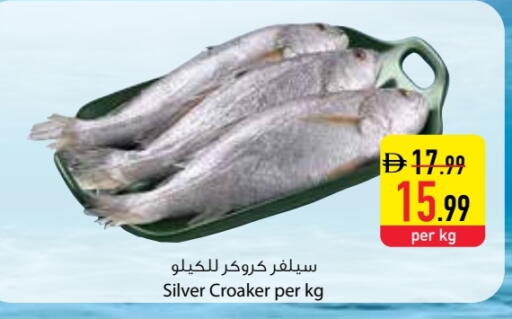 available at Safeer Market in UAE - Abu Dhabi