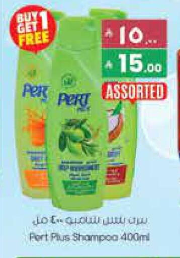 available at City Flower in KSA, Saudi Arabia, Saudi - Hail