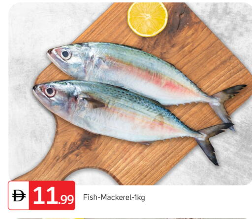 available at سوق طلال in الإمارات العربية المتحدة , الامارات - أبو ظبي