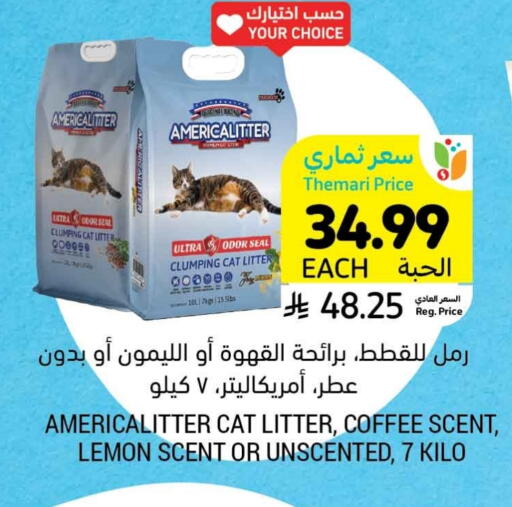 Lemon available at Tamimi Market in KSA, Saudi Arabia, Saudi - Al Hasa