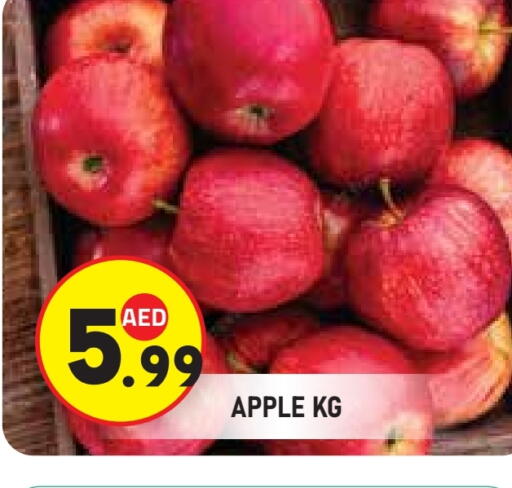 available at سنابل بني ياس in الإمارات العربية المتحدة , الامارات - أبو ظبي