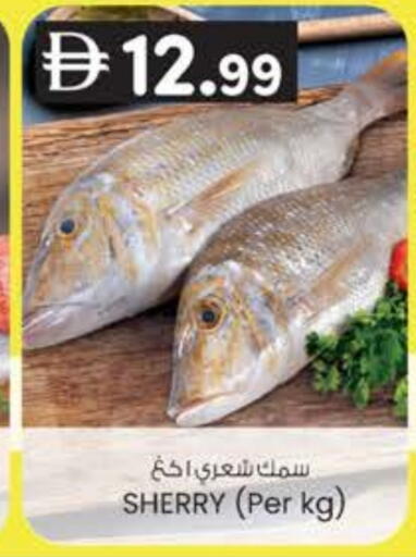 available at ك. الم. للتجارة in الإمارات العربية المتحدة , الامارات - الشارقة / عجمان