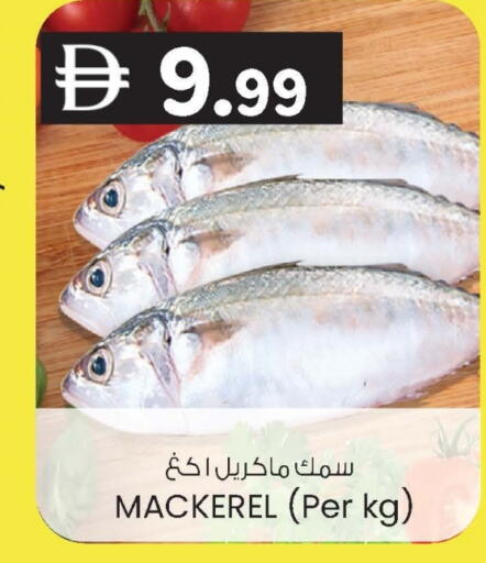 available at ك. الم. للتجارة in الإمارات العربية المتحدة , الامارات - ٱلْفُجَيْرَة‎