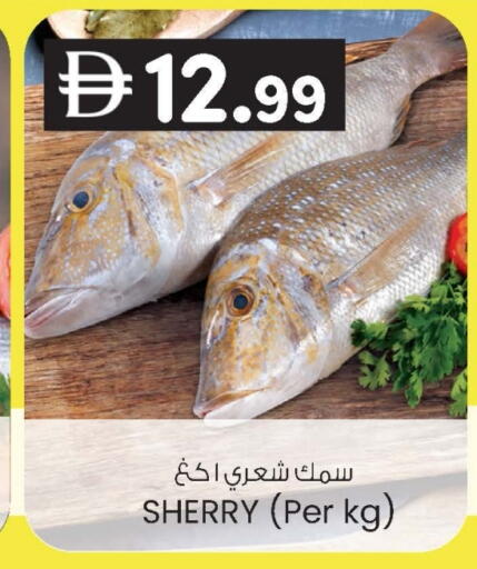 available at ك. الم. للتجارة in الإمارات العربية المتحدة , الامارات - ٱلْفُجَيْرَة‎