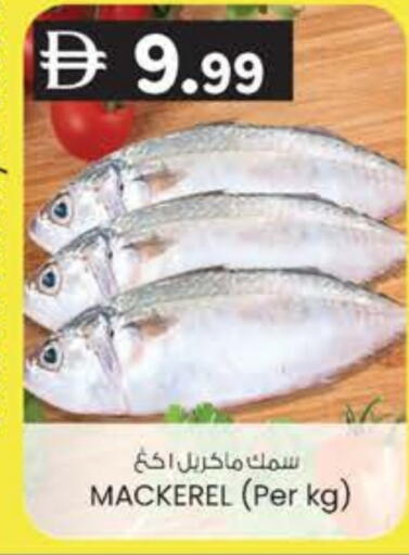 available at ك. الم. للتجارة in الإمارات العربية المتحدة , الامارات - الشارقة / عجمان