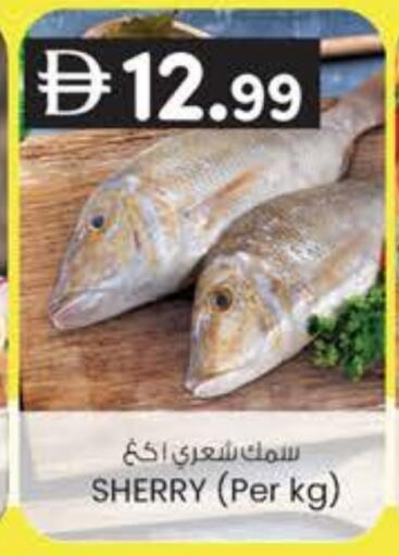 available at ك. إم. هايبرماركت in الإمارات العربية المتحدة , الامارات - ٱلْعَيْن‎