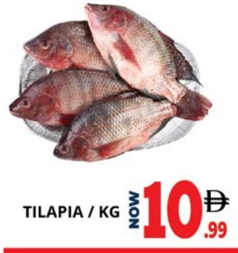 available at EXPRESS AL MADEENA HYPERMARKET LLC in UAE - Abu Dhabi