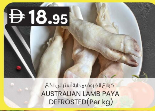 available at ك. الم. للتجارة in الإمارات العربية المتحدة , الامارات - ٱلْفُجَيْرَة‎