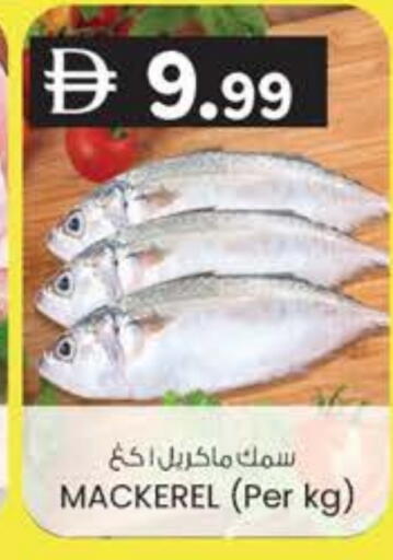 available at ك. إم. هايبرماركت in الإمارات العربية المتحدة , الامارات - ٱلْعَيْن‎