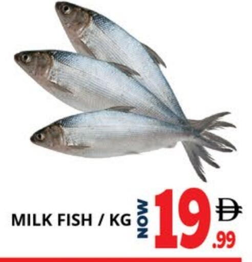 available at EXPRESS AL MADEENA HYPERMARKET LLC in UAE - Abu Dhabi