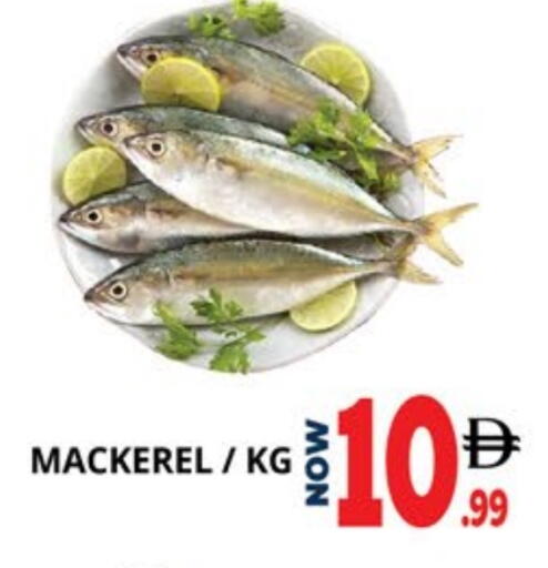 available at EXPRESS AL MADEENA HYPERMARKET LLC in UAE - Abu Dhabi