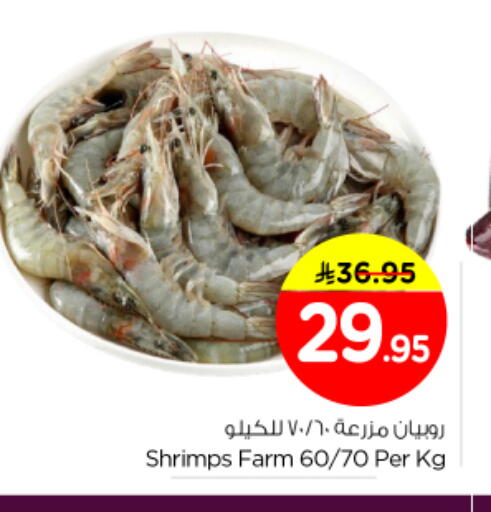 available at نستو in مملكة العربية السعودية, السعودية, سعودية - المجمعة