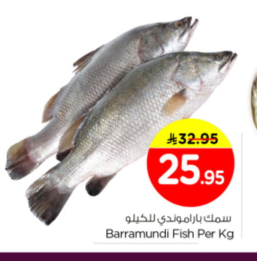 available at نستو in مملكة العربية السعودية, السعودية, سعودية - المجمعة