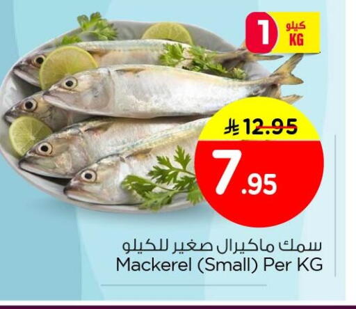 available at نستو in مملكة العربية السعودية, السعودية, سعودية - الأحساء‎