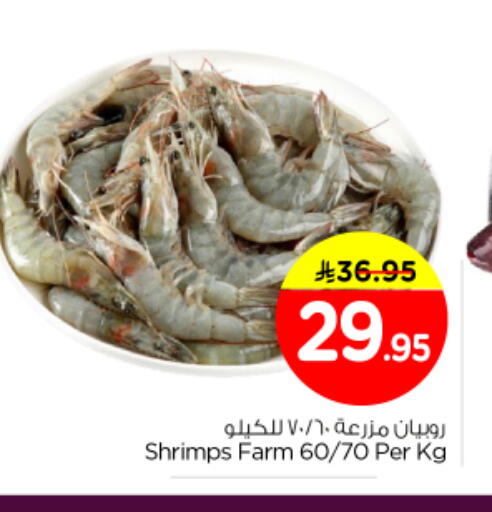 available at نستو in مملكة العربية السعودية, السعودية, سعودية - الخرج