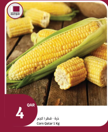 available at سيتي هايبرماركت in قطر - الخور