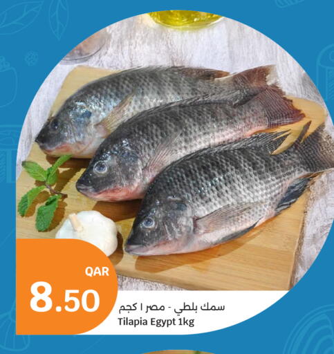 available at City Hypermarket in Qatar - Doha