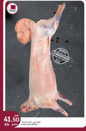 available at City Hypermarket in Qatar - Al Khor