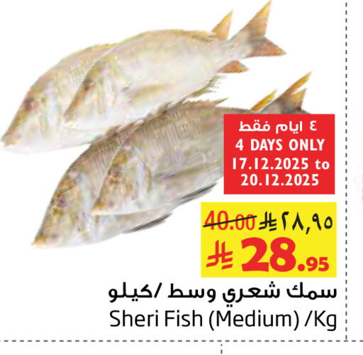 available at Layan Hyper in KSA, Saudi Arabia, Saudi - Al Khobar