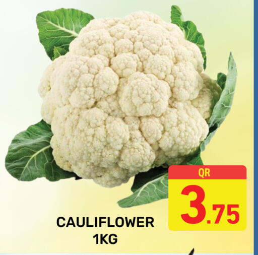 available at مجلس هايبرماركت in قطر - الريان