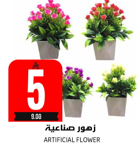 available at جراند هايبر in مملكة العربية السعودية, السعودية, سعودية - الرياض