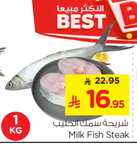 available at نستو in مملكة العربية السعودية, السعودية, سعودية - الخرج