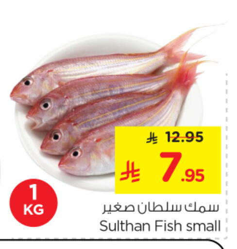 available at نستو in مملكة العربية السعودية, السعودية, سعودية - الخرج