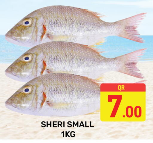 available at Majlis Hypermarket in Qatar - Al Rayyan