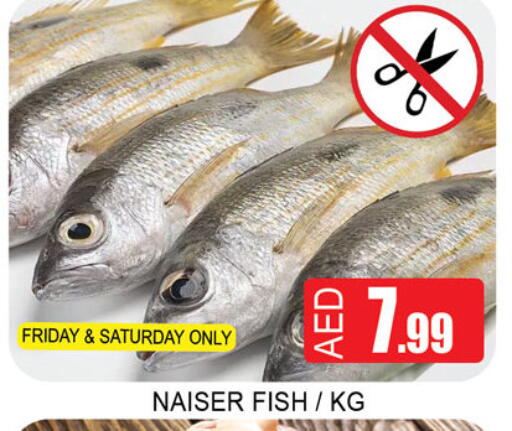 available at لكي سنتر in الإمارات العربية المتحدة , الامارات - الشارقة / عجمان