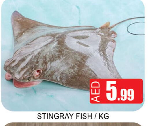 available at لكي سنتر in الإمارات العربية المتحدة , الامارات - الشارقة / عجمان