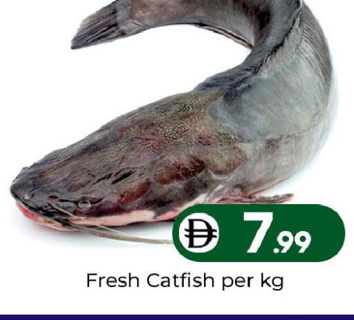 available at مبارك هايبرماركت الشارقة in الإمارات العربية المتحدة , الامارات - الشارقة / عجمان