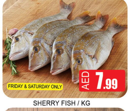 available at لكي سنتر in الإمارات العربية المتحدة , الامارات - الشارقة / عجمان