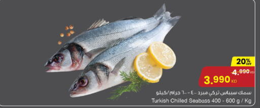 available at مركز سلطان in الكويت - مدينة الكويت