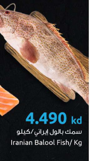 available at مركز سلطان in الكويت - مدينة الكويت