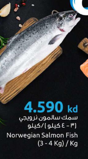 available at مركز سلطان in الكويت - مدينة الكويت