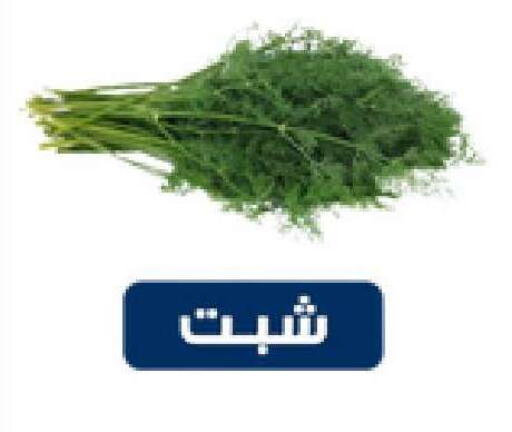 available at Nasim Almouj in KSA, Saudi Arabia, Saudi - Riyadh