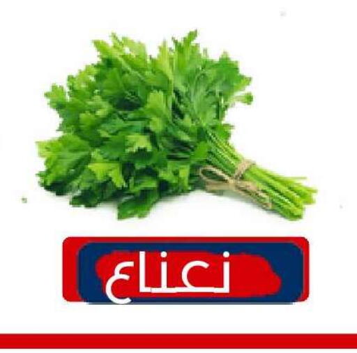 available at Nasim Almouj in KSA, Saudi Arabia, Saudi - Riyadh